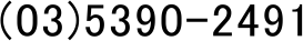 (03)5390-2491
