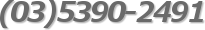 (03)5390-2491